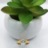 Anillo de Promesa