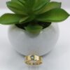 Anillo de Promesa