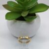 Anillo de Promesa