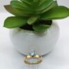 Anillo de Promesa