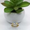 Anillo de Promesa