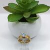 Anillo de Promesa