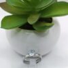 Anillo de Promesa