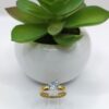 Anillo de Promesa