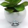 Anillo de Promesa