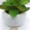 Anillo de Promesa