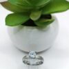 Anillo de Promesa