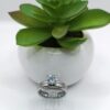 Anillo de Promesa