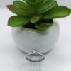 Anillo de Promesa