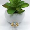 Anillo de Promesa