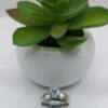 Anillo de Promesa